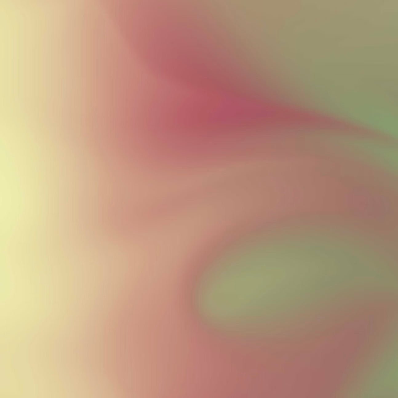 02 / A structured decision flow - MakeOrNot