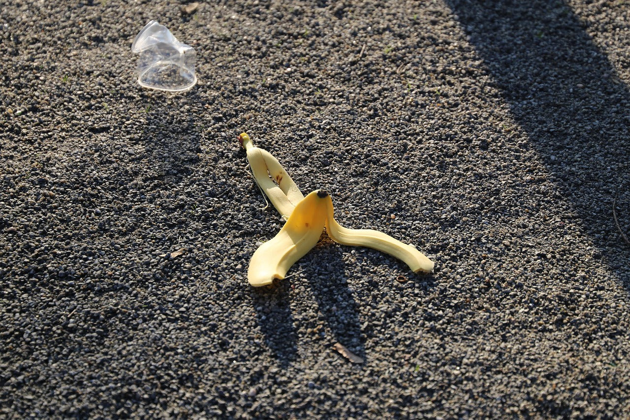 food waste in small cafés